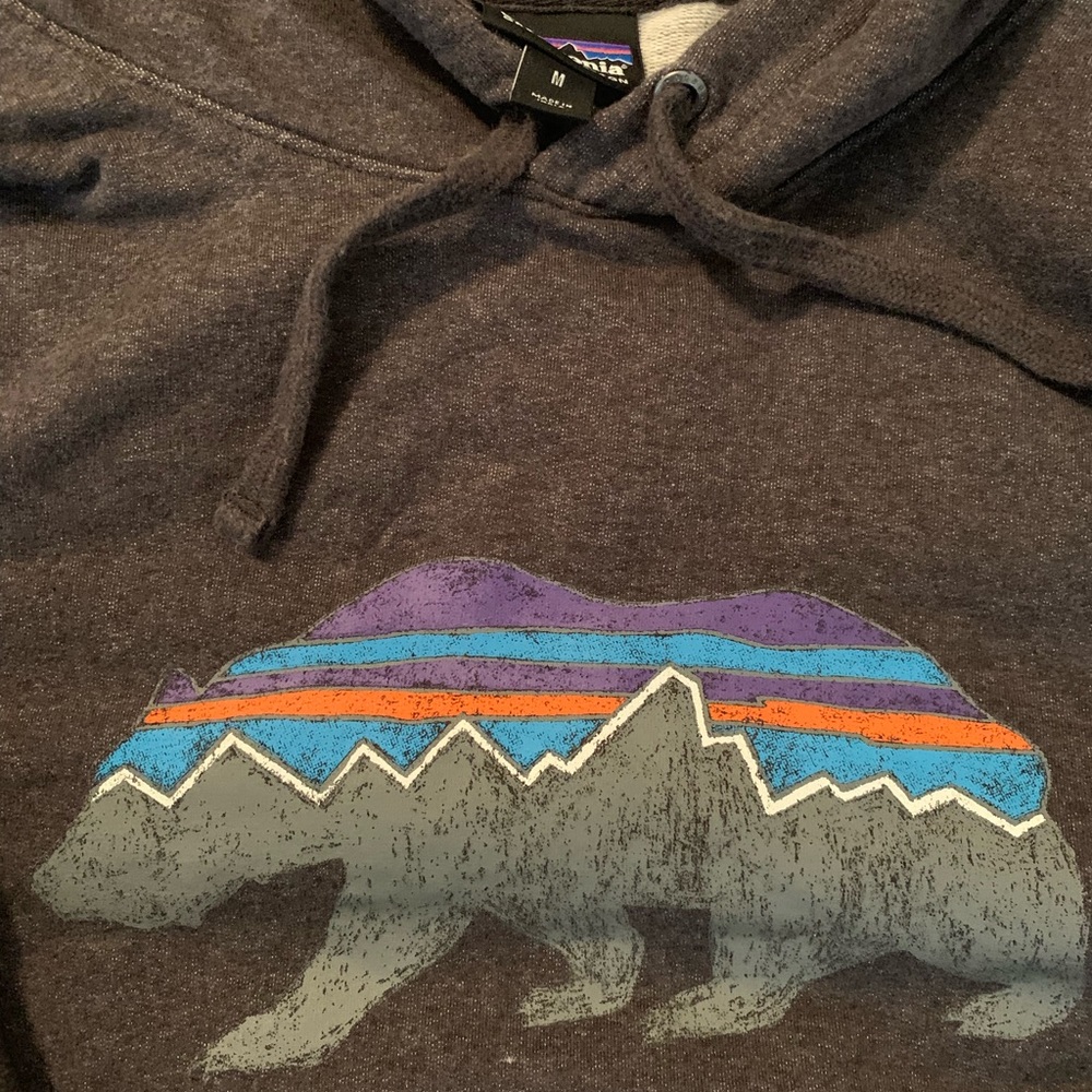 Patagonia hooded sweatshirt M